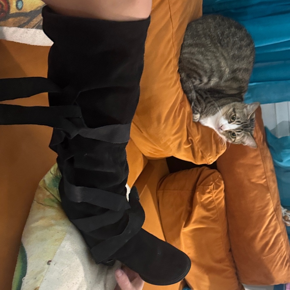 Elegant Black Cat Boot Accessory